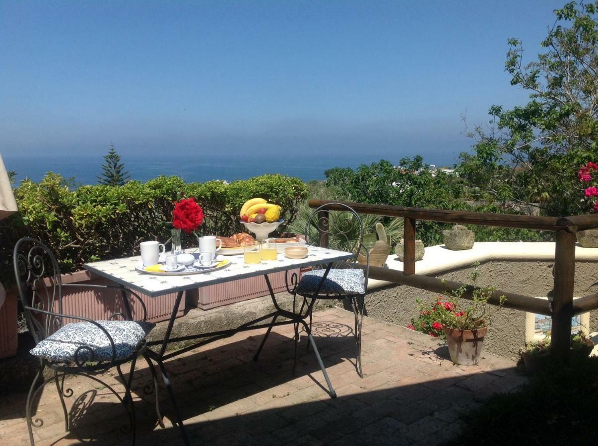 La Terrazzina Sul Tramonto Bed and Breakfast Forio di Ischia Buitenkant foto