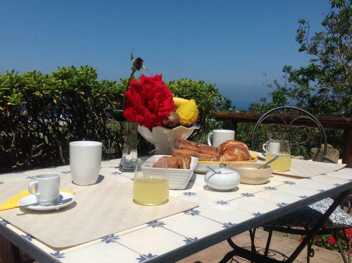 La Terrazzina Sul Tramonto Bed and Breakfast Forio di Ischia Buitenkant foto
